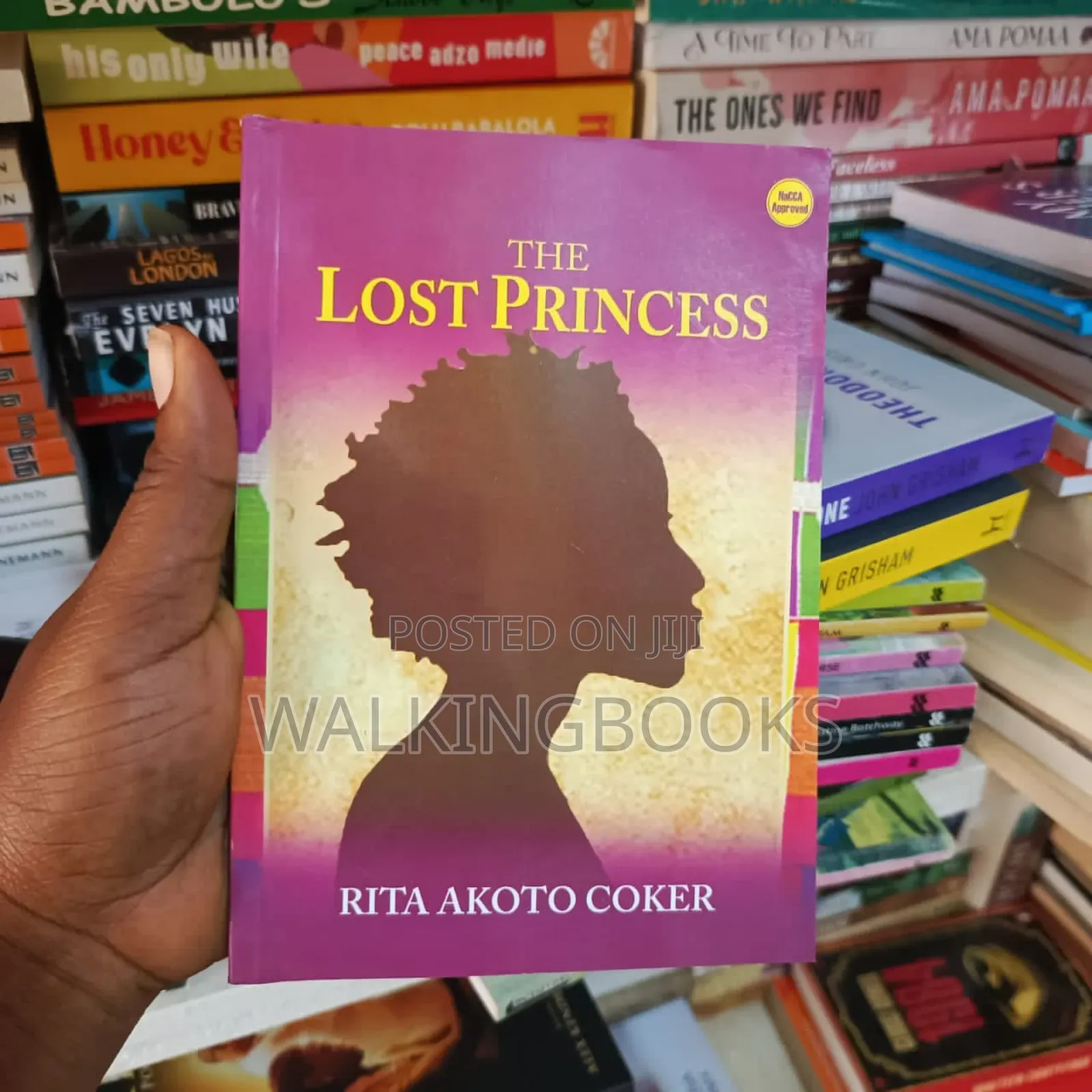 The Lost Princess