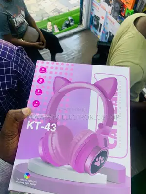 Newly in Stock KT-43 Wireless Stereo Headphone Set 