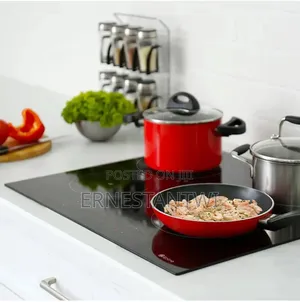 4burner Induction Cooker From Ekatro, UK