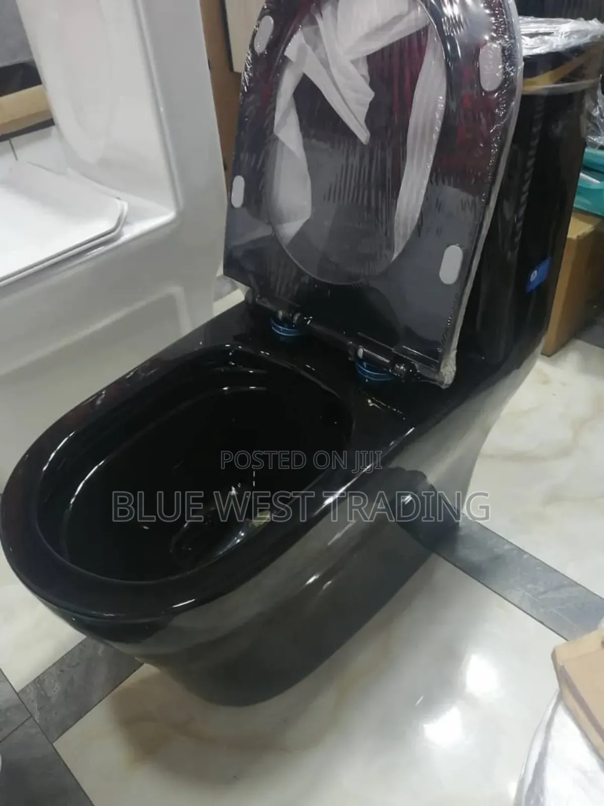 Black and Gold Water Closet