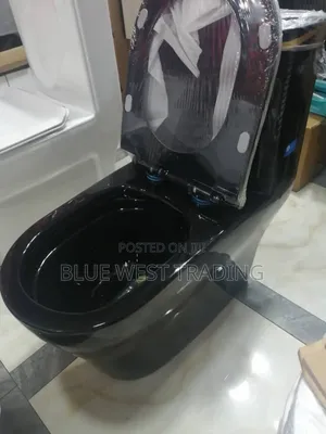 Black and Gold Water Closet