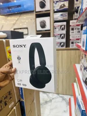 Dynamic Sleek New Sony WH-CH520 Headset