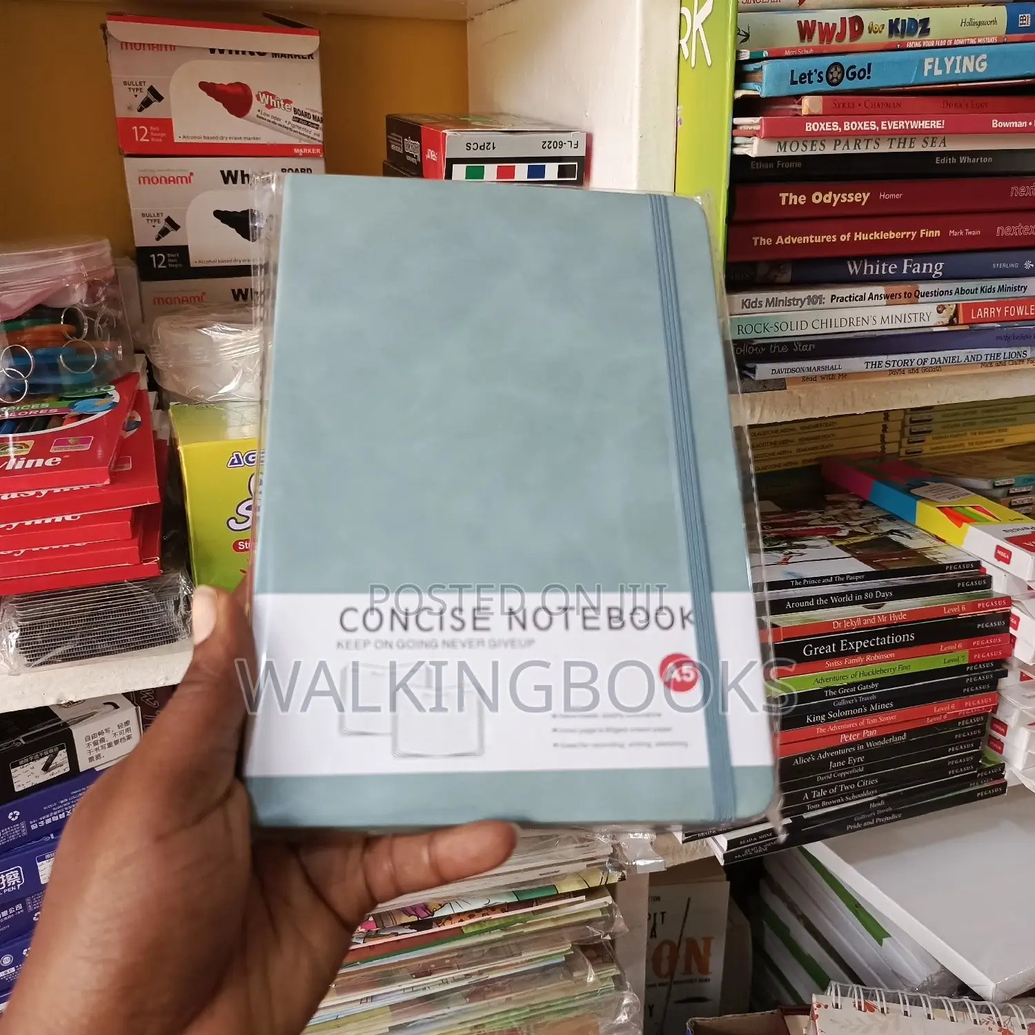 Beautiful Diaries