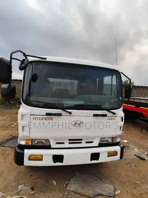 Hyundai 5ton Gold. No Fault. New Arrivals. Call Today.