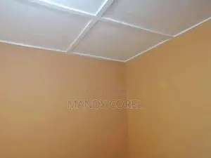 1bdrm Apartment in Peace Clinic Area for rent