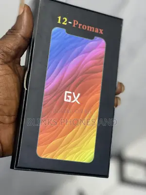 12 Pro Max OLED Screen