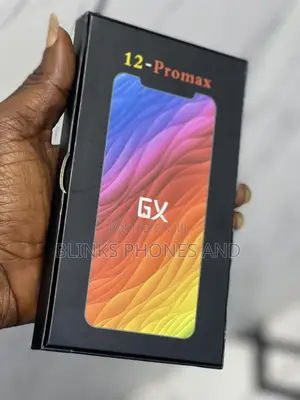 12 Pro Max OLED Screen