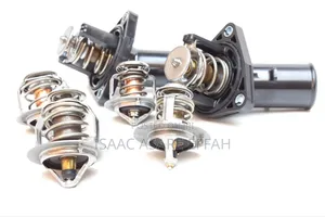 Engine Thermostat for All Cars
