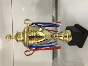 38cm Football Trophy