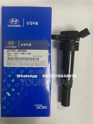Hyundai Accent, Tucson, Elantra, Sonata, Santa Fe Coil
