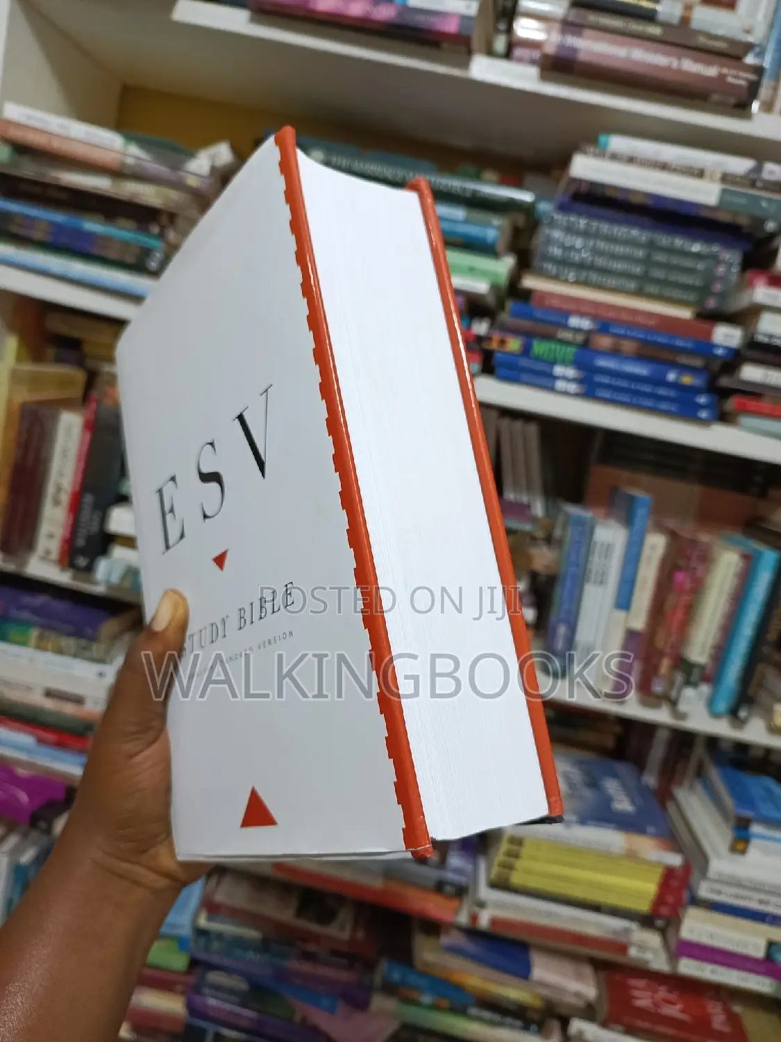 ESV Study Bible