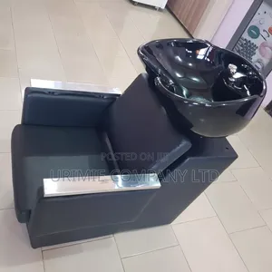Executive Black Hair Washing Basin