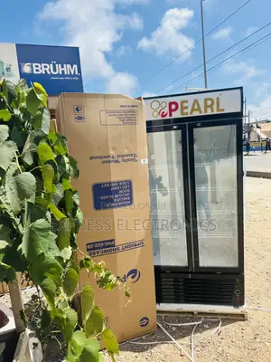 Anti Rust Display Fridge Pearl PVC-622 500L Double Door