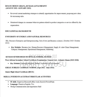Accounting Finance CV
