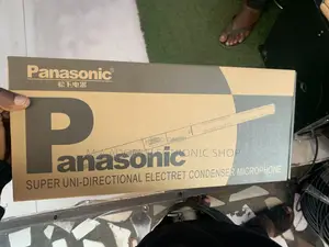 Panasonic Boom Mic