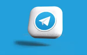 Telegram Channel Members Promotion