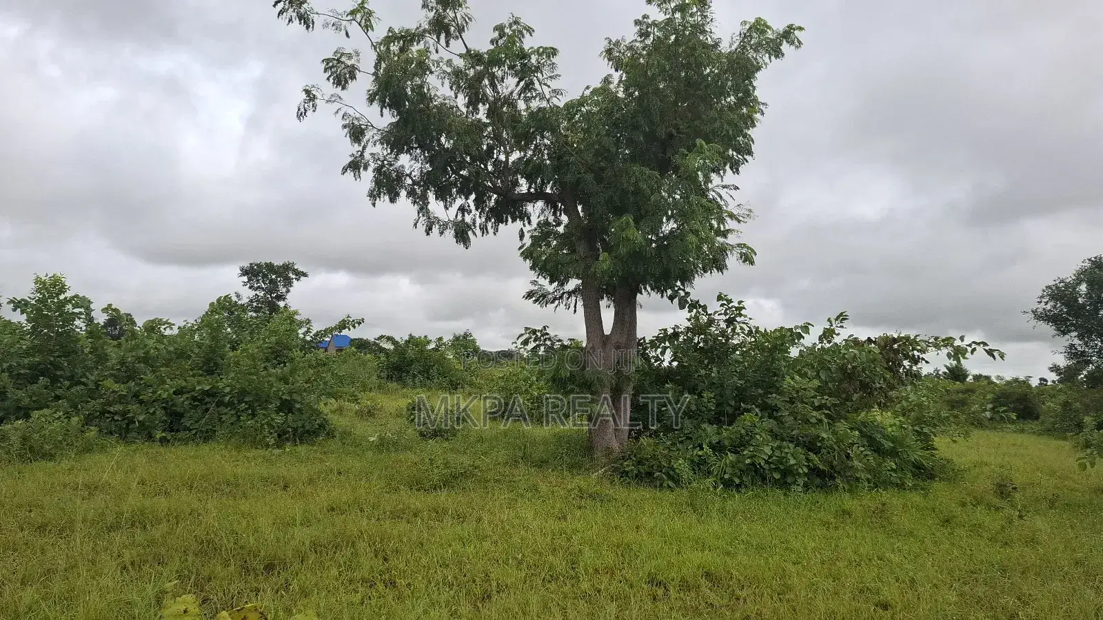 Plot of Land at Baglahi on the Tamale-Yendi Road for Sale