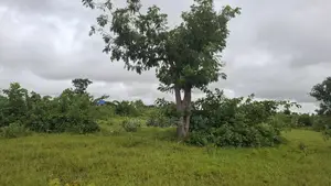 Plot of Land at Baglahi on the Tamale-Yendi Road for Sale