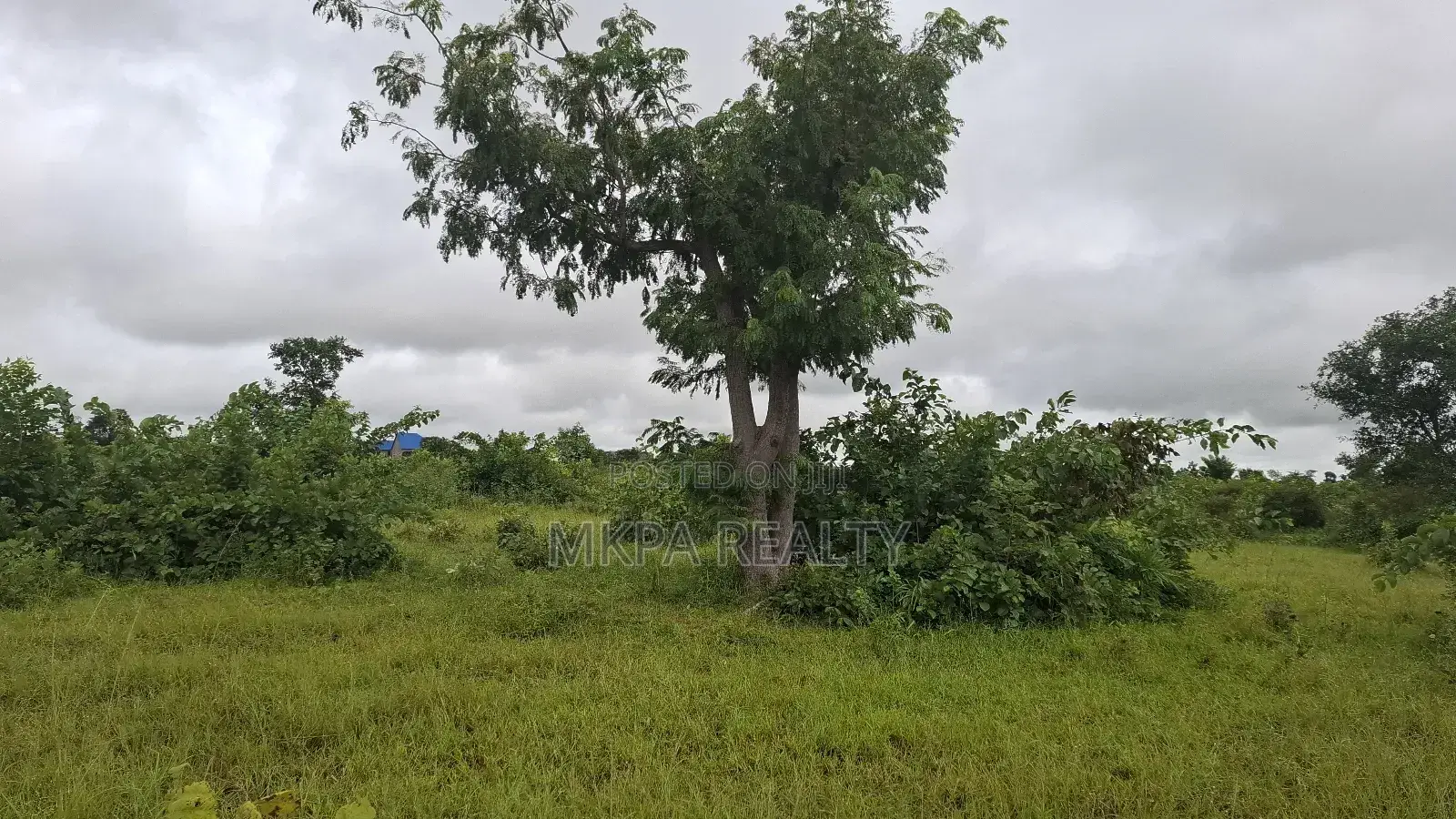 Plot of Land at Baglahi on the Tamale-Yendi Road for Sale