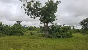 Plot of Land at Baglahi on the Tamale-Yendi Road for Sale