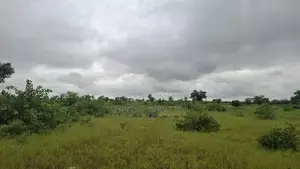 Plot of Land at Baglahi on the Tamale-Yendi Road for Sale