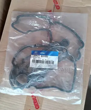 Sonata 08 Valve Cover Gasket - 2G100