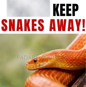Reptiles Fumigation