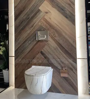 Concealed Designer Toilet Seat _ Wall Hung Toilet Bowl