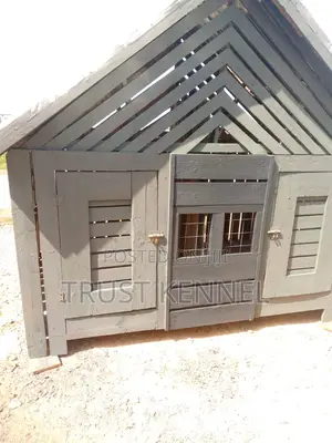 Dogs Cages for Sale