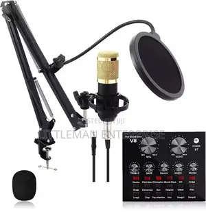 Microphone With V8 Sound Card Full Set