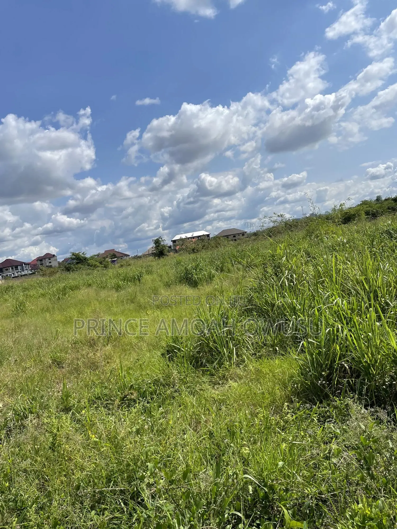 Do You Need a Land Surveyor