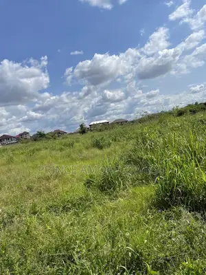 Do You Need a Land Surveyor