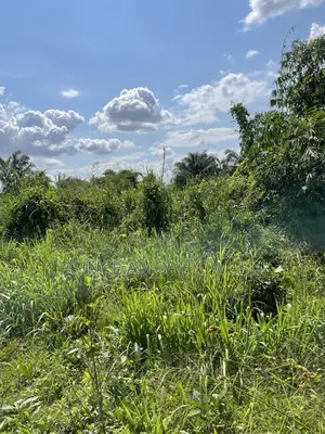 Do You Need a Land Surveyor