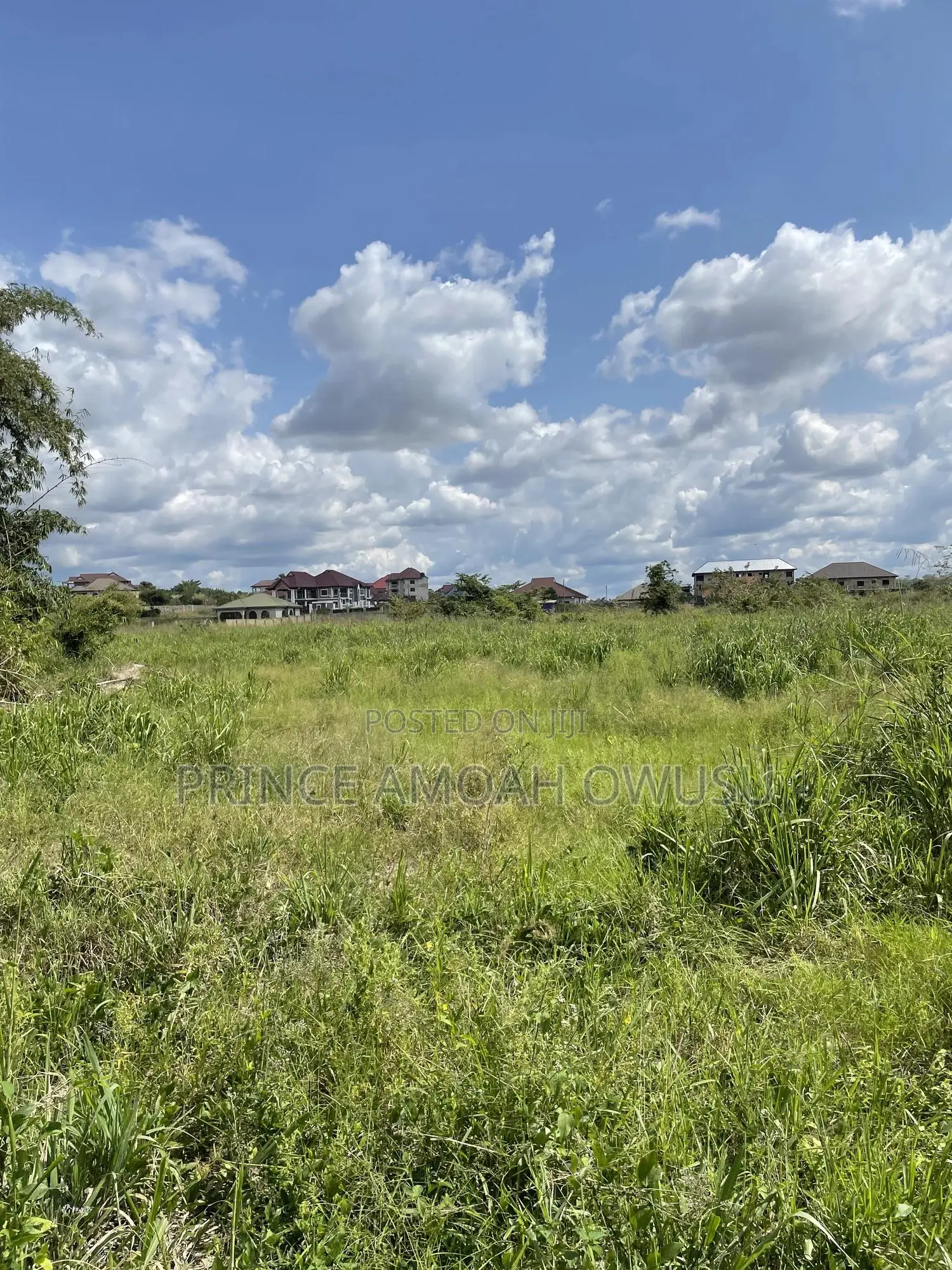 Do You Need a Land Surveyor