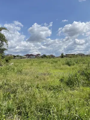 Do You Need a Land Surveyor
