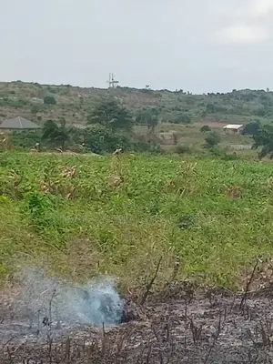 Alpha Properties Land at Denchira for Sale
