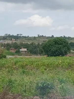 Alpha Properties Land at Denchira for Sale