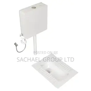 Squatting Toilet With Wall- Mounted Tank