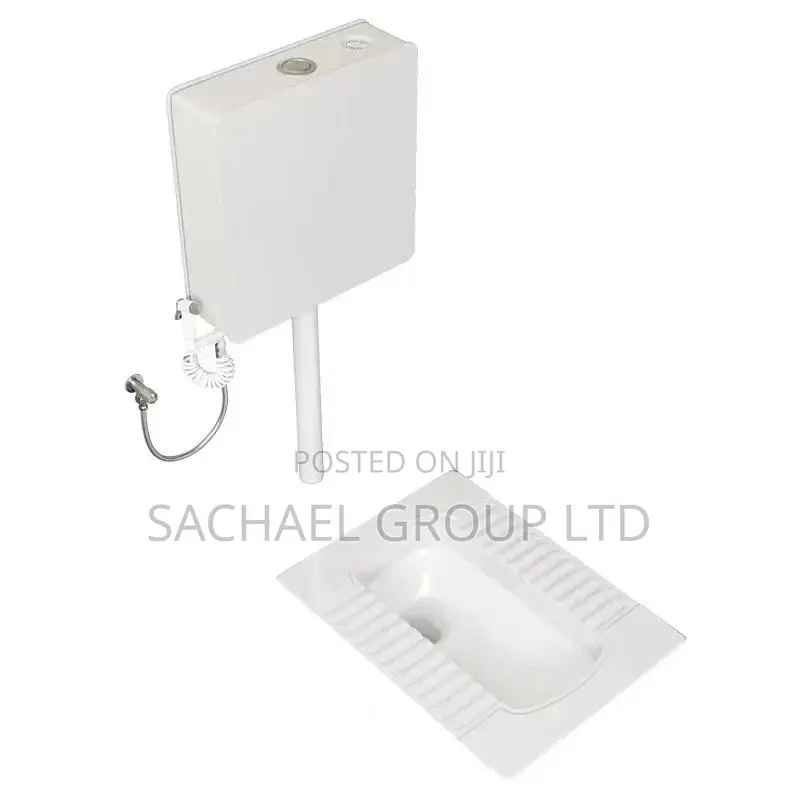 Squatting Toilet With Wall- Mounted Tank