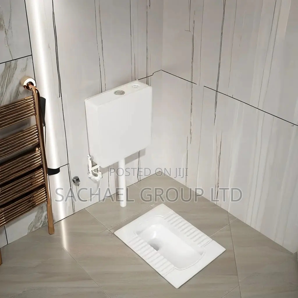 Squatting Toilet With Wall- Mounted Tank