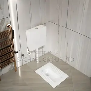 Squatting Toilet With Wall- Mounted Tank