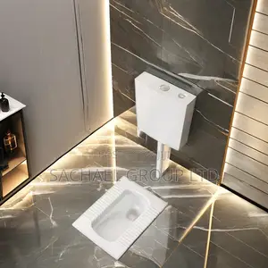 Squatting Toilet With Wall- Mounted Tank