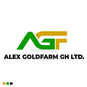 Professional Logo Design Branding
