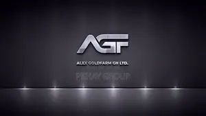 Professional Logo Design Branding