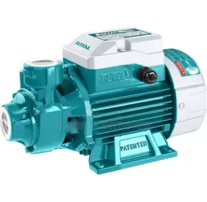 Total 1 HP (750 Watts) Surface Water-Pump