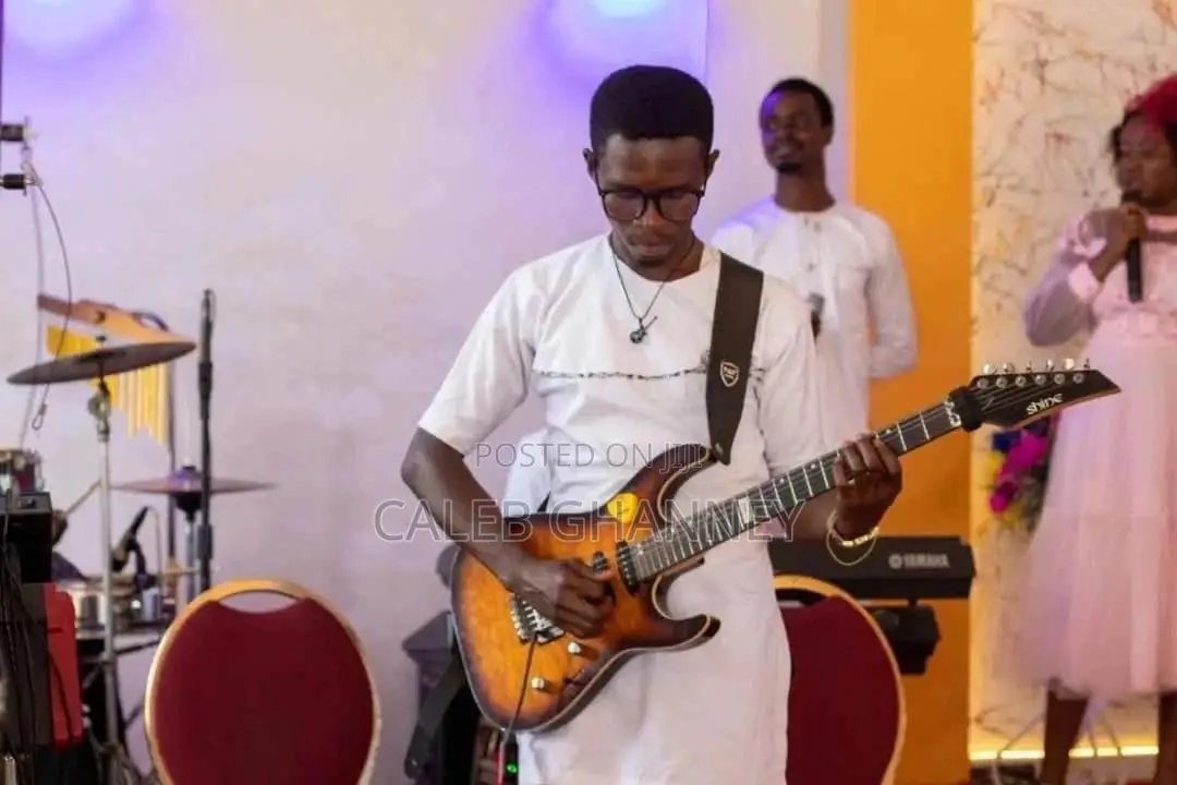Professional Guitarist