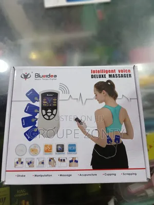 Intelligent Voice Deluxe Massager