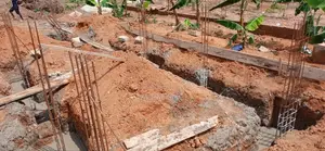 General Design and Constructability
