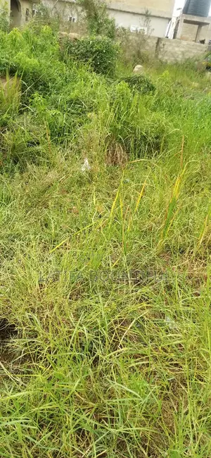 Vry Nice Land Without Water