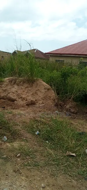 Vry Nice Land Without Water